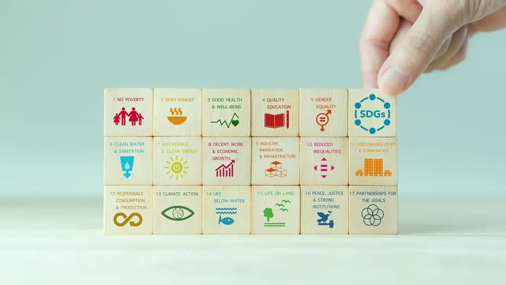 Pentingnya Sustainable Business Model untuk Masa Depan